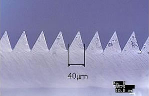 Cross-section of fresnel lens